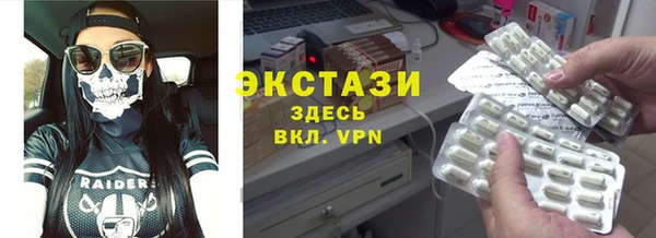 тгк Ельня