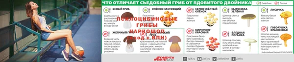 тгк Ельня