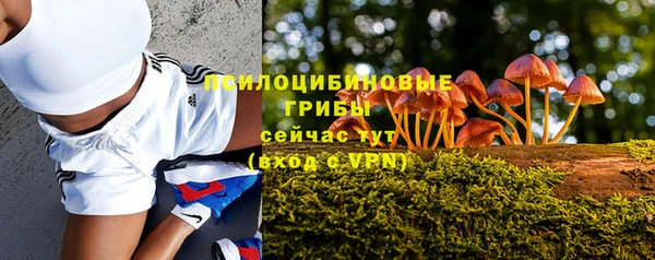 тгк Ельня