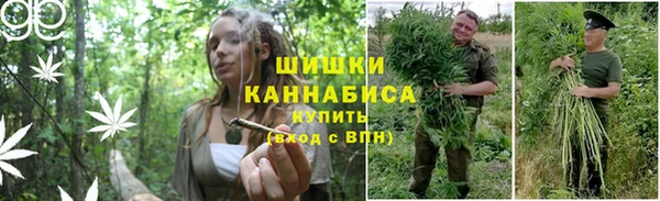 тгк Ельня