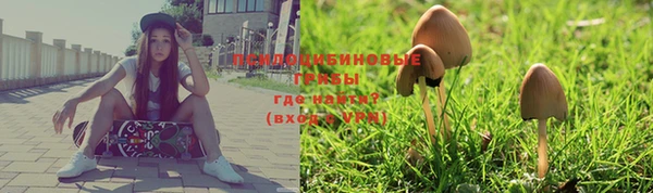 a pvp Елабуга